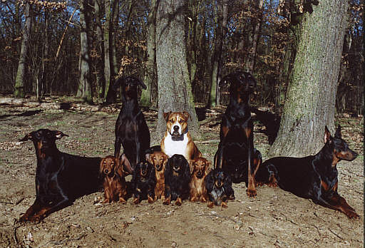 Spaziergang mit unseren Freunden Marie, Anne, Branka, Asco und Wanda