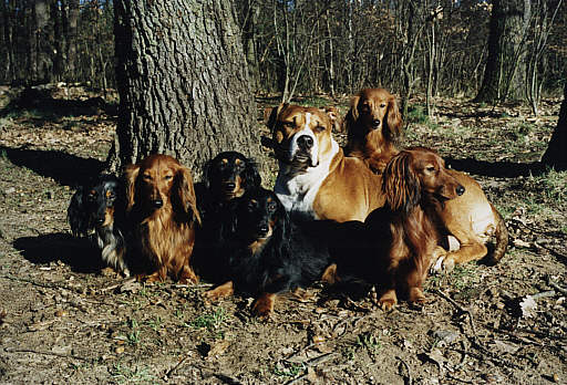 Spaziergang mit unserer Freundin Branka