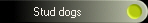 Stud dogs